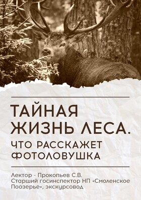 Лекция «Тайная жизнь леса. Что расскажет фотоловушка» - Театрально-концертное агентство "Звёздный дождь"