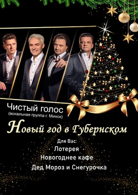 Новый Год в «Губернском» Театрально-концертное агентство "Звёздный дождь"